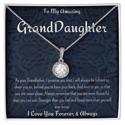 To My Amazing GrandDaughter Necklace  ( From Grandfather )